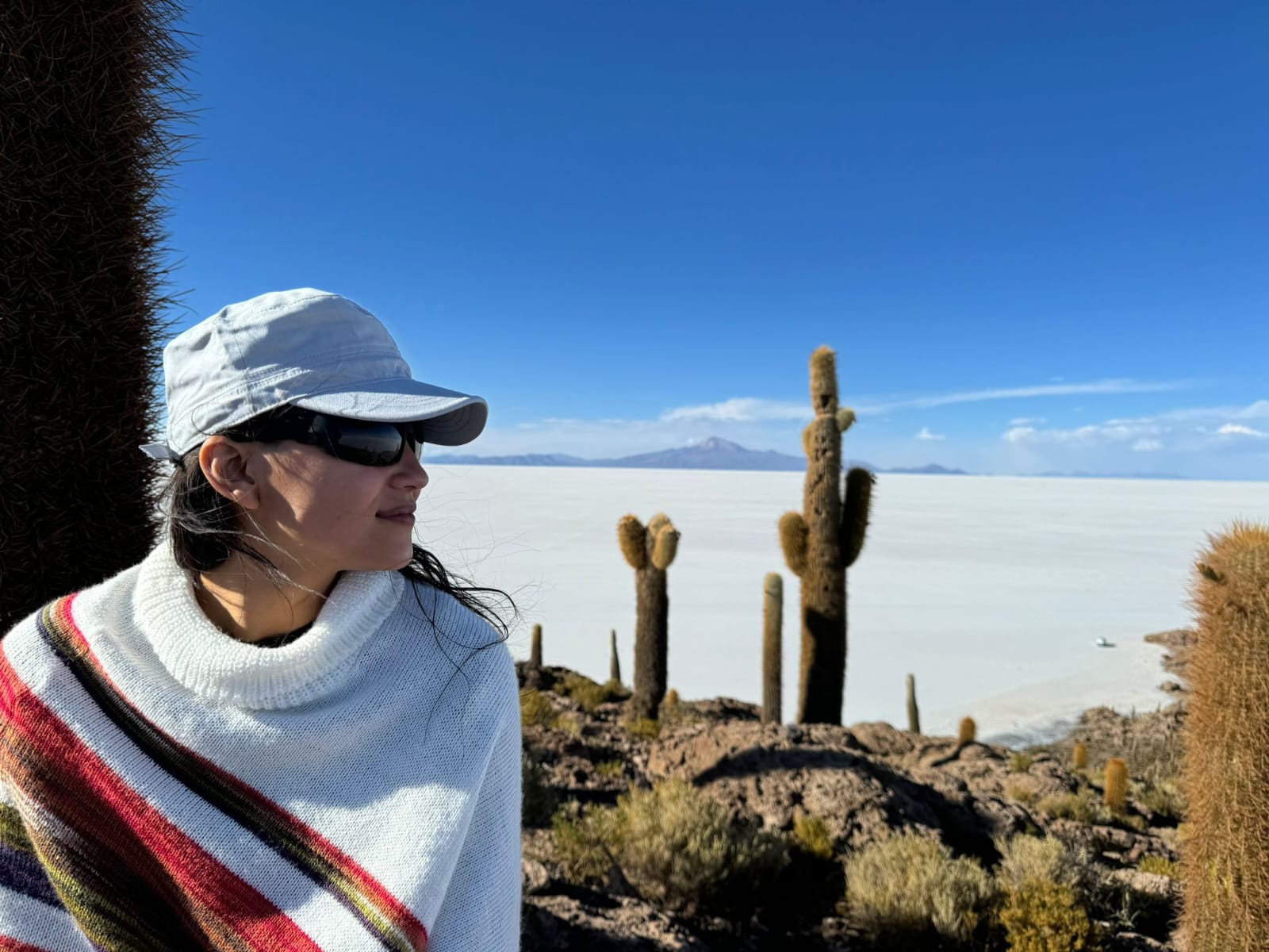 Cactus con vista al salar